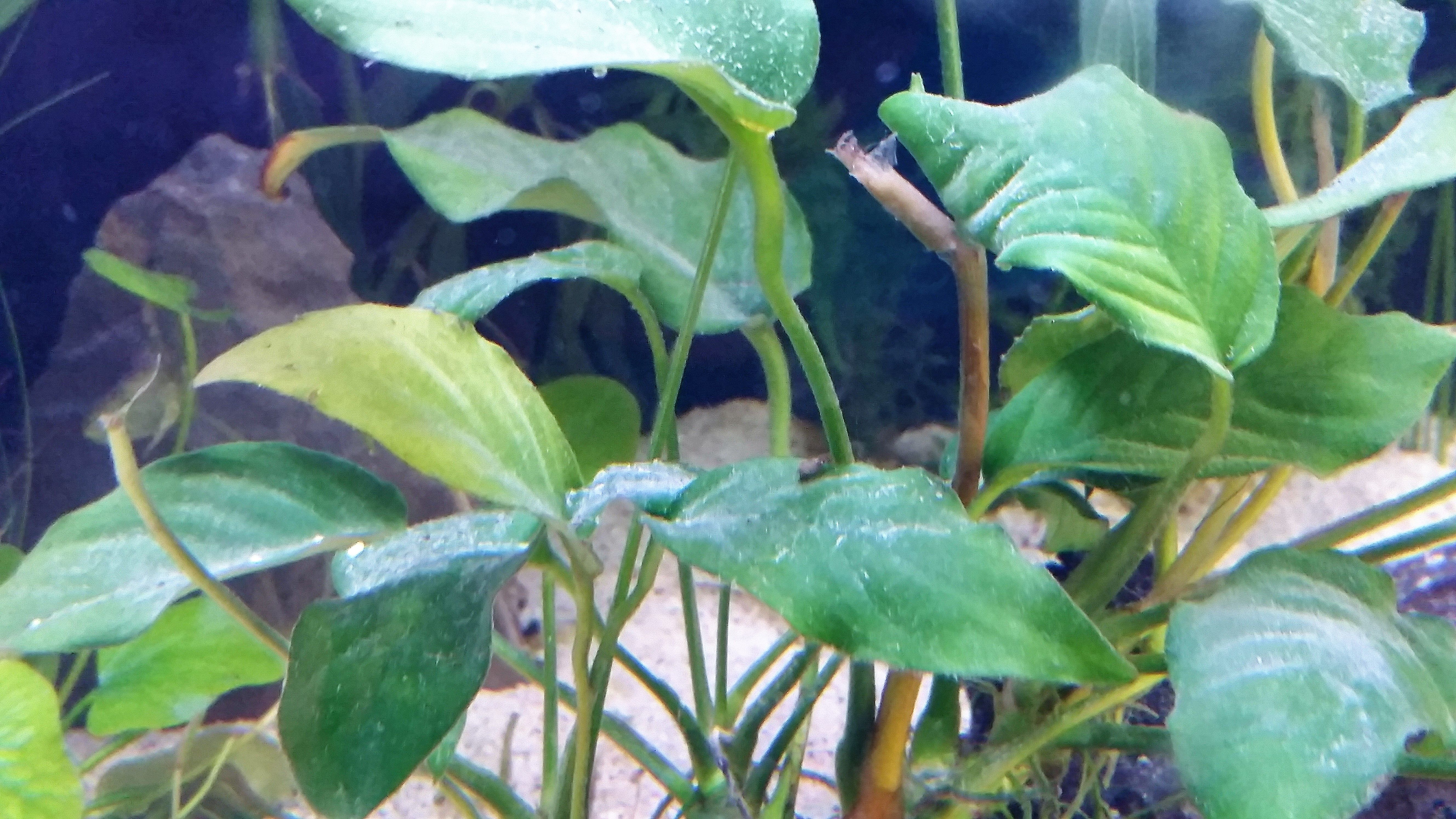 20170423_130256.jpg