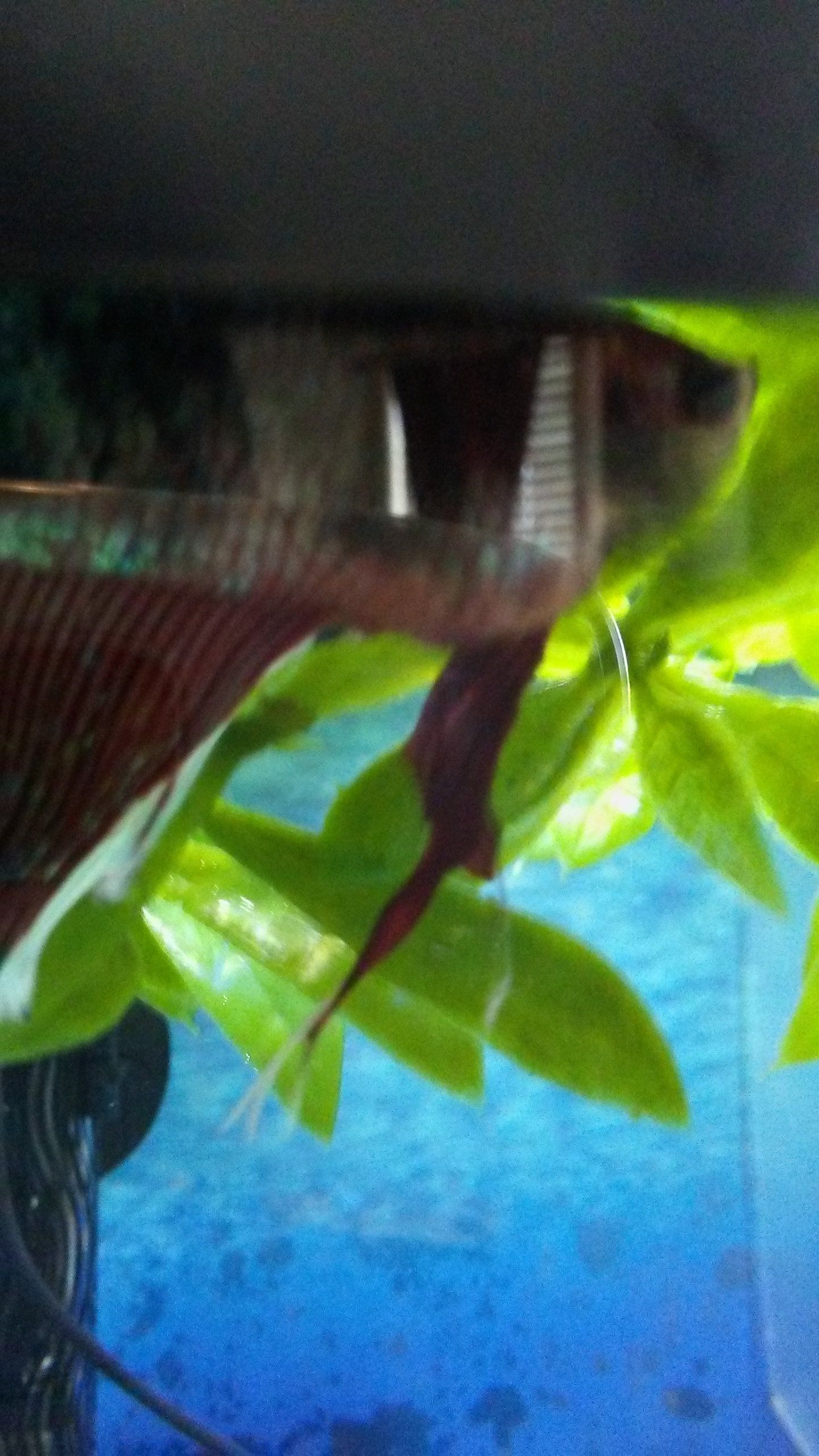 20170423_153809.jpg