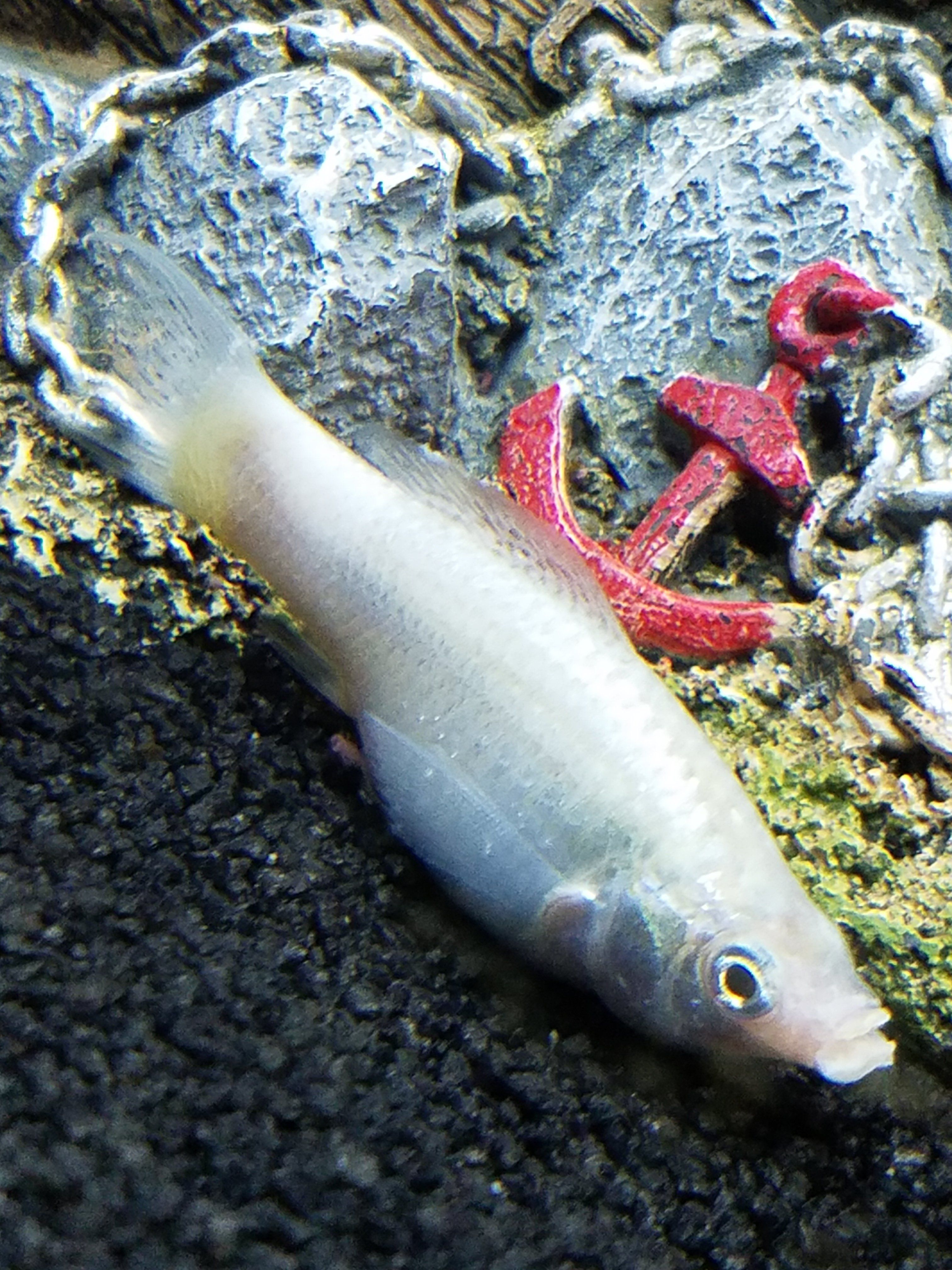 20170501_182604.jpg