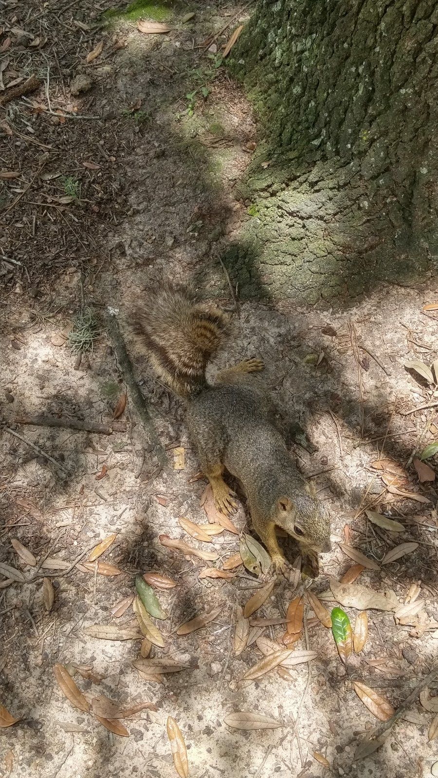 20170702_135459_HDR.jpg
