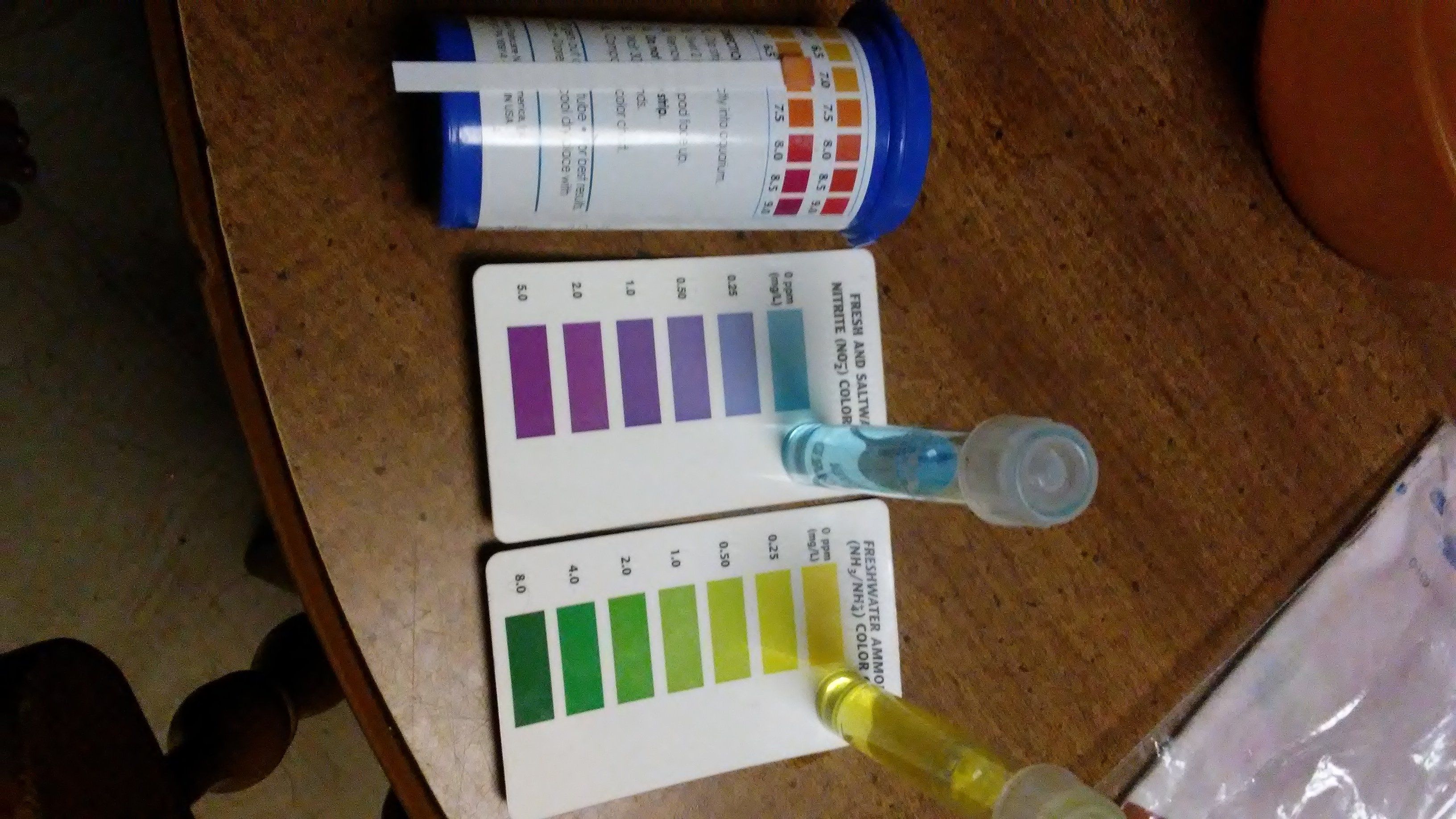 20170907_205036.jpg