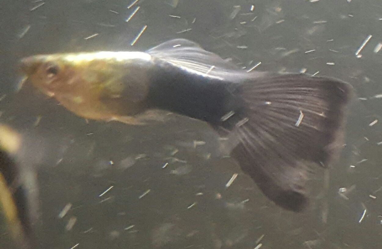 20180209_002338.jpg