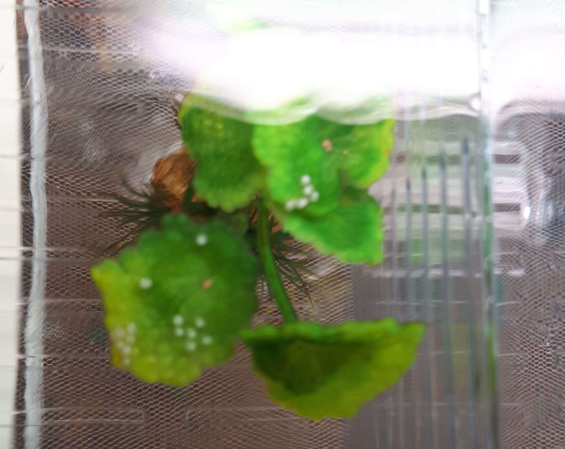 20180521_230903.jpg