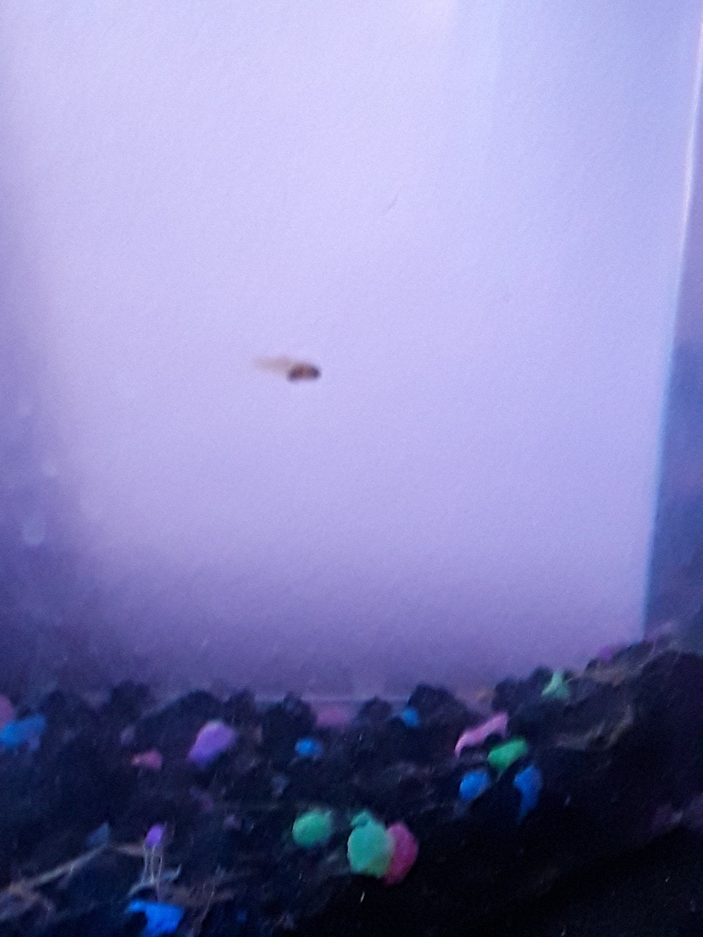 20180617_064730.jpg