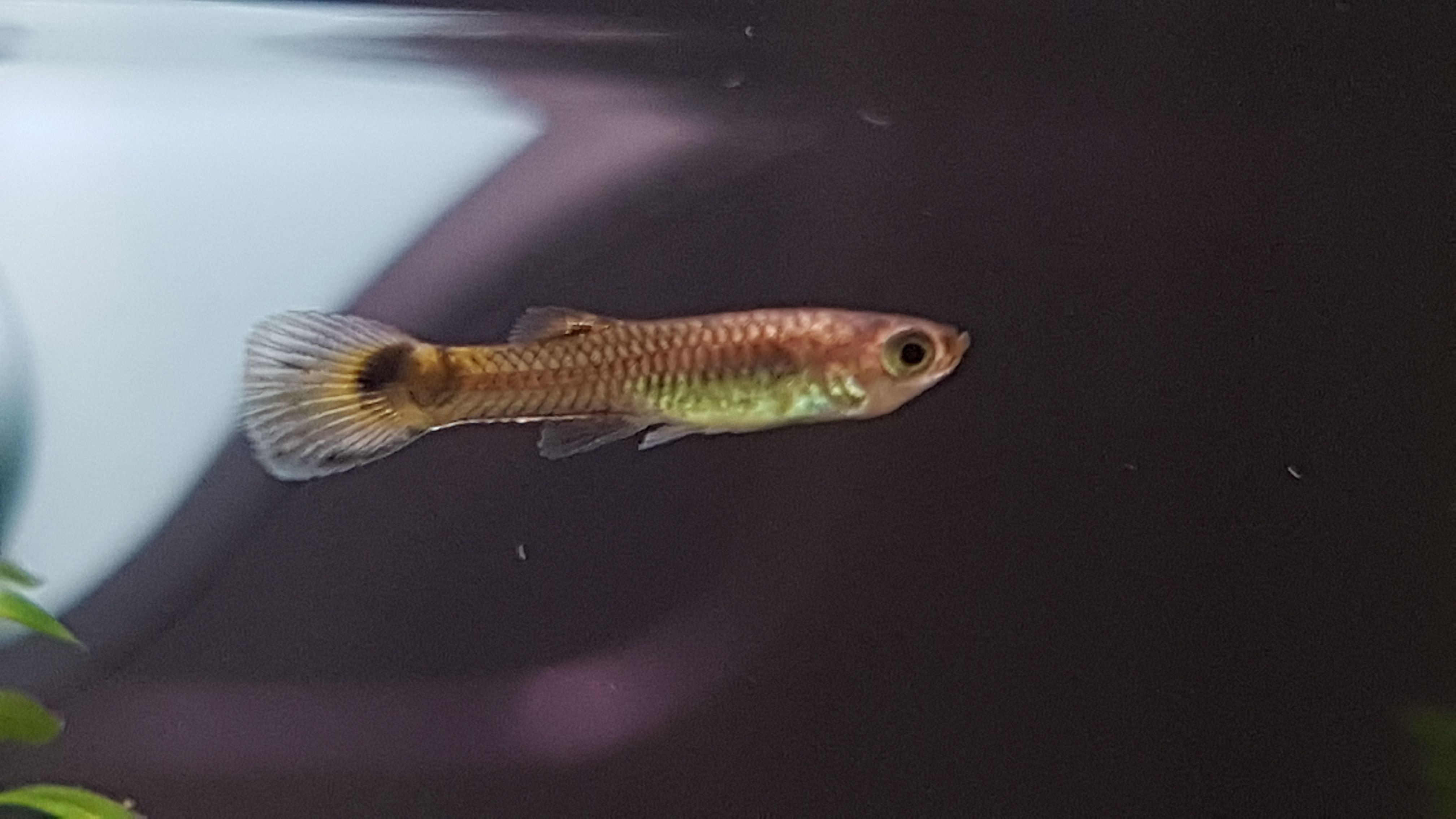 20180620_155122.jpg