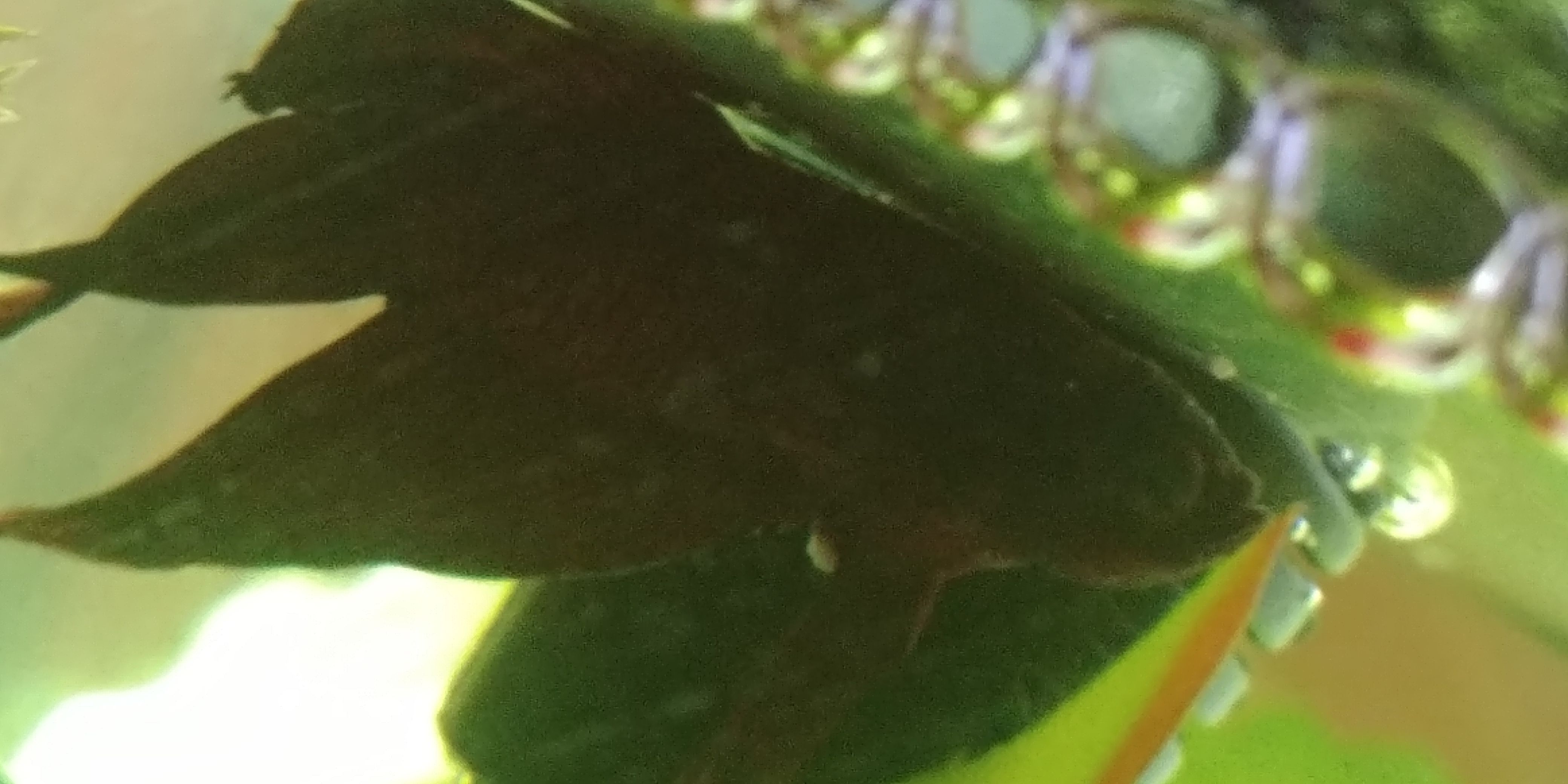 20190201_063924.jpg