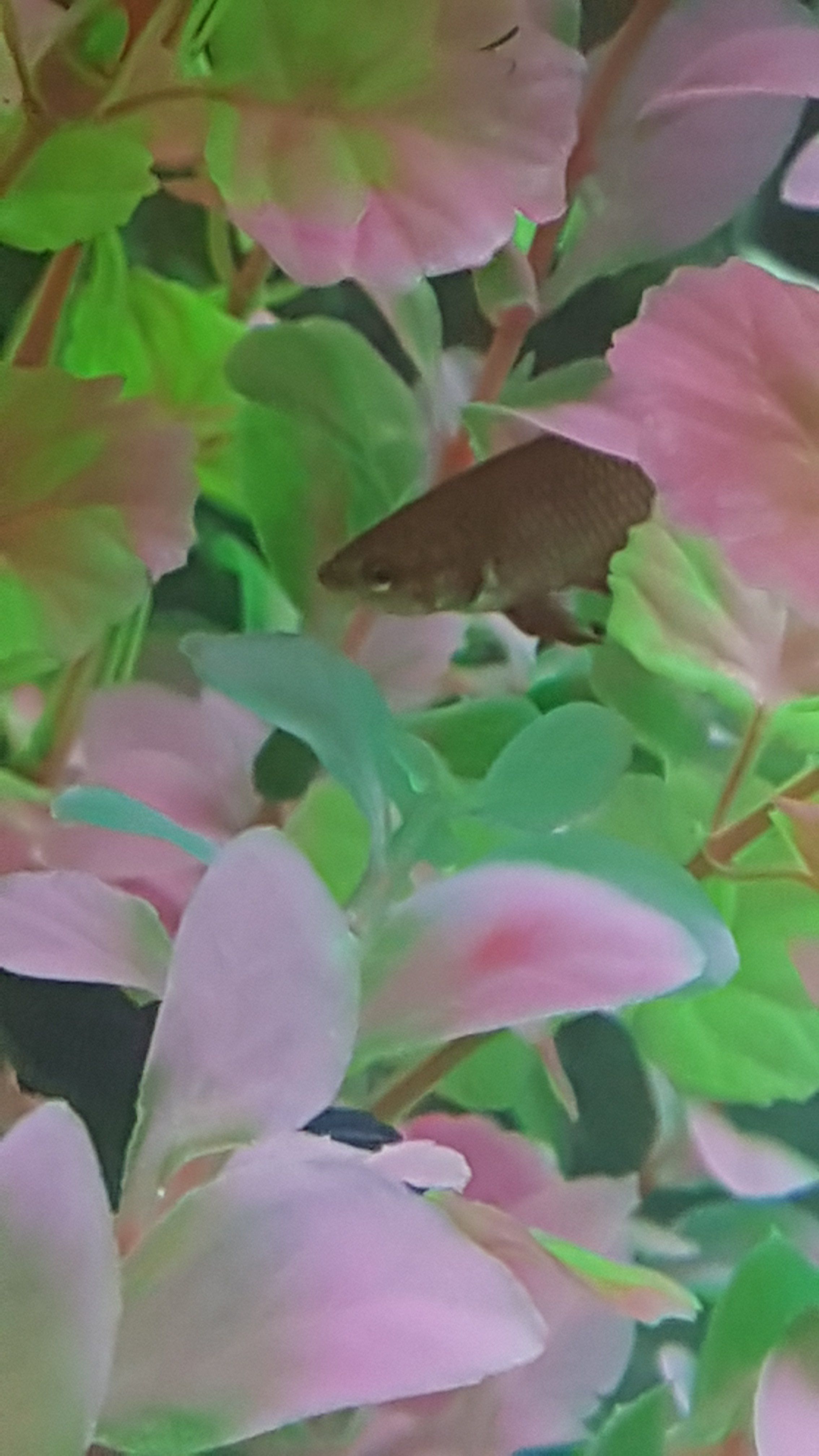 20190414_133809.jpg