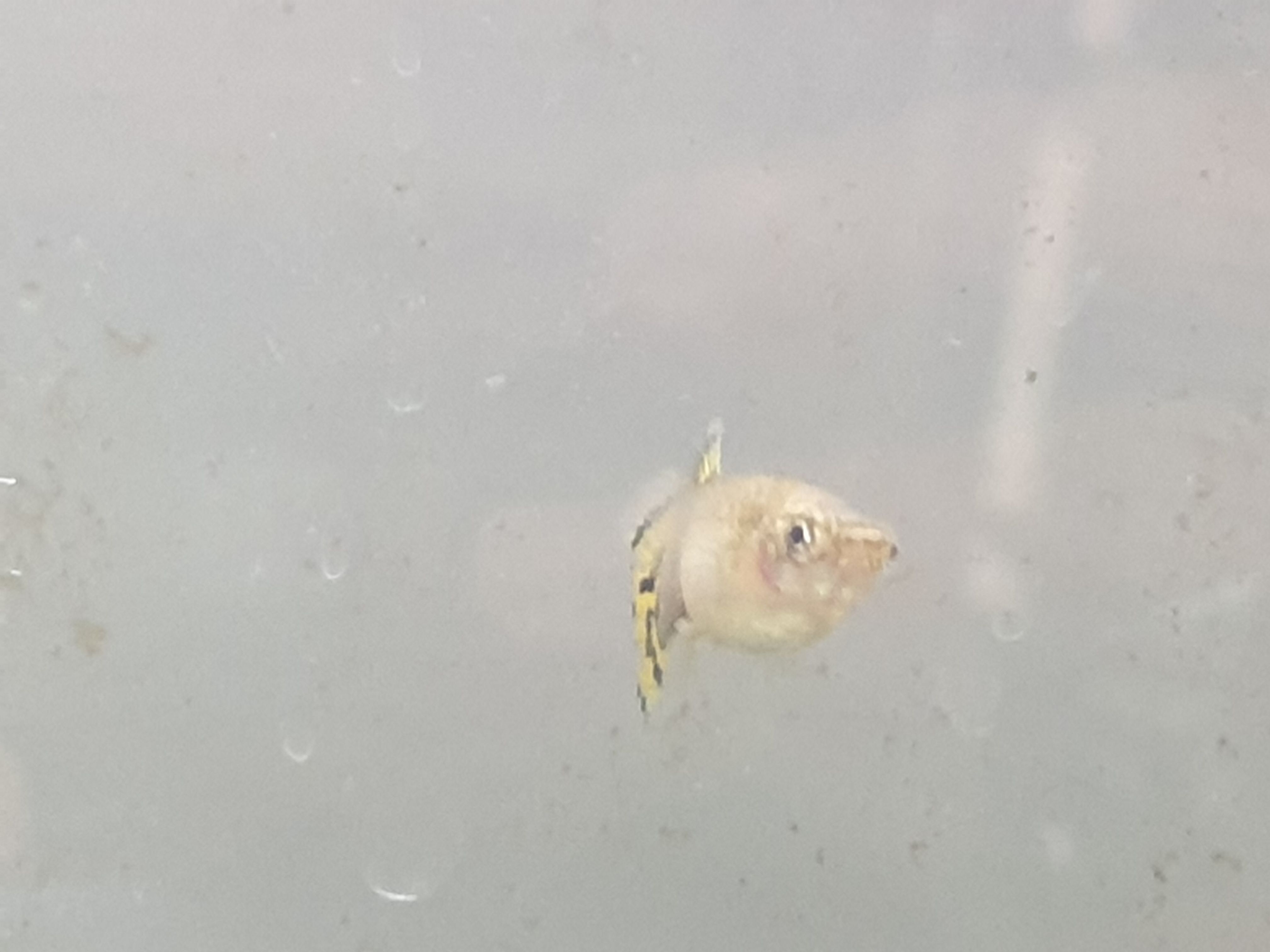 20190503_125409.jpg