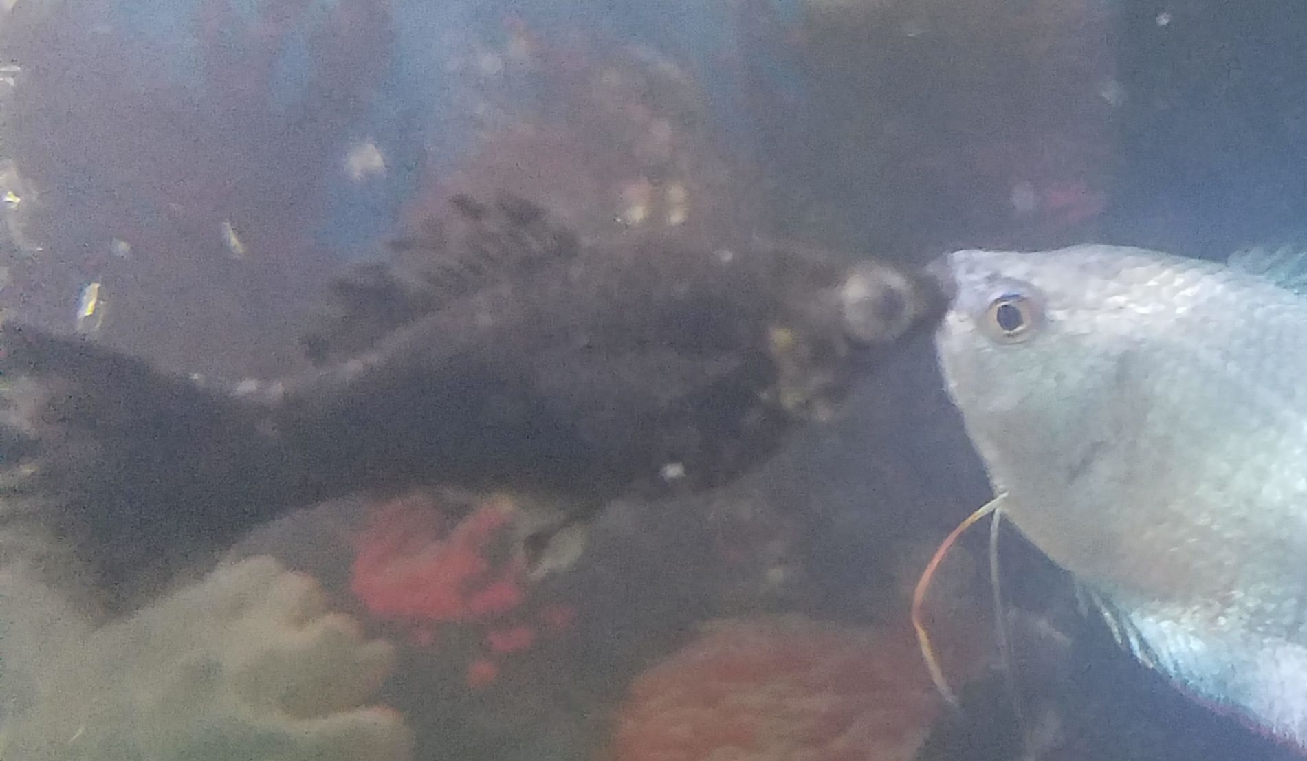 20190514_170635.jpg
