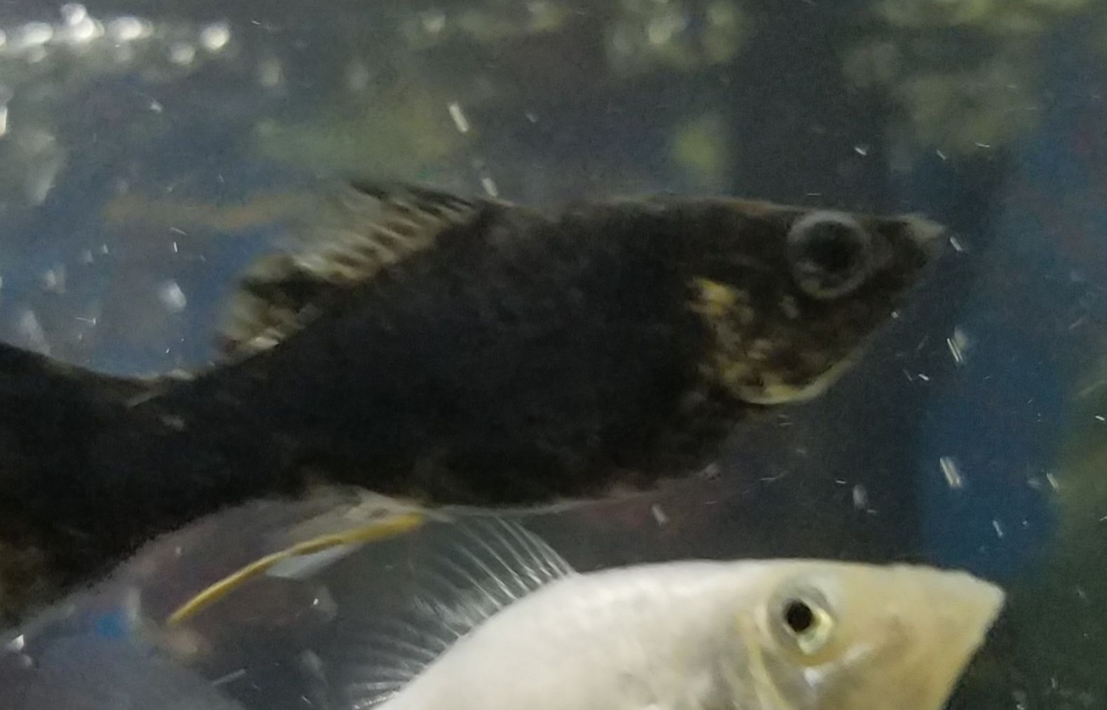 20190516_203252.jpg