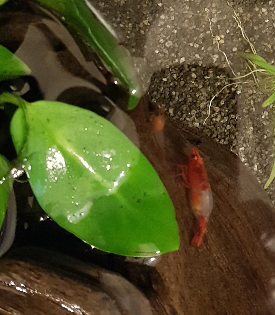 20190810_095709.jpg