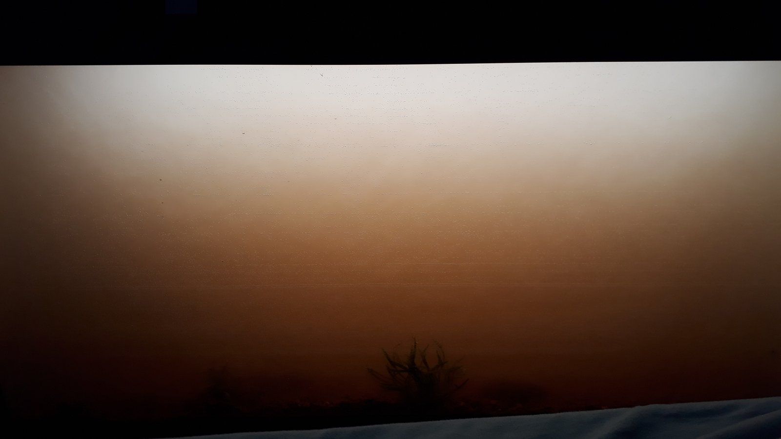 20190815_195353.jpg