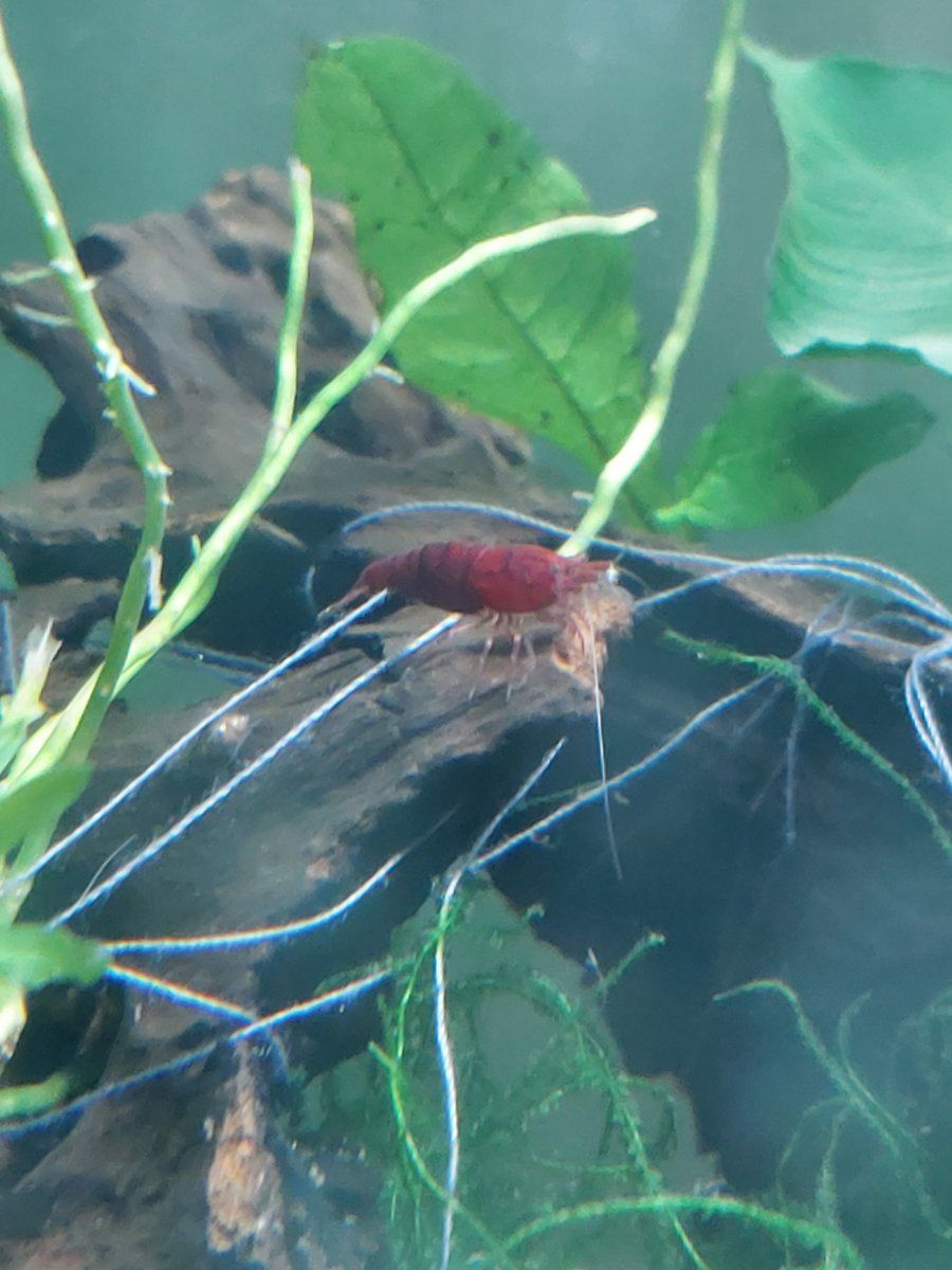 20190913_210347.jpg
