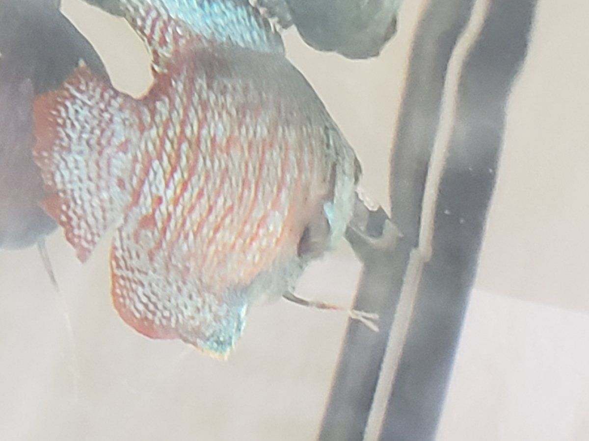 20191004_170707.jpg