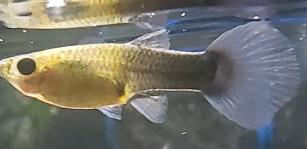 20191101_170241.jpg