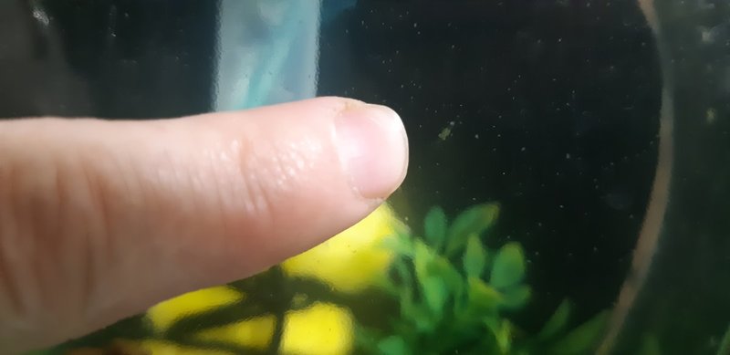 20191110_013537.jpg
