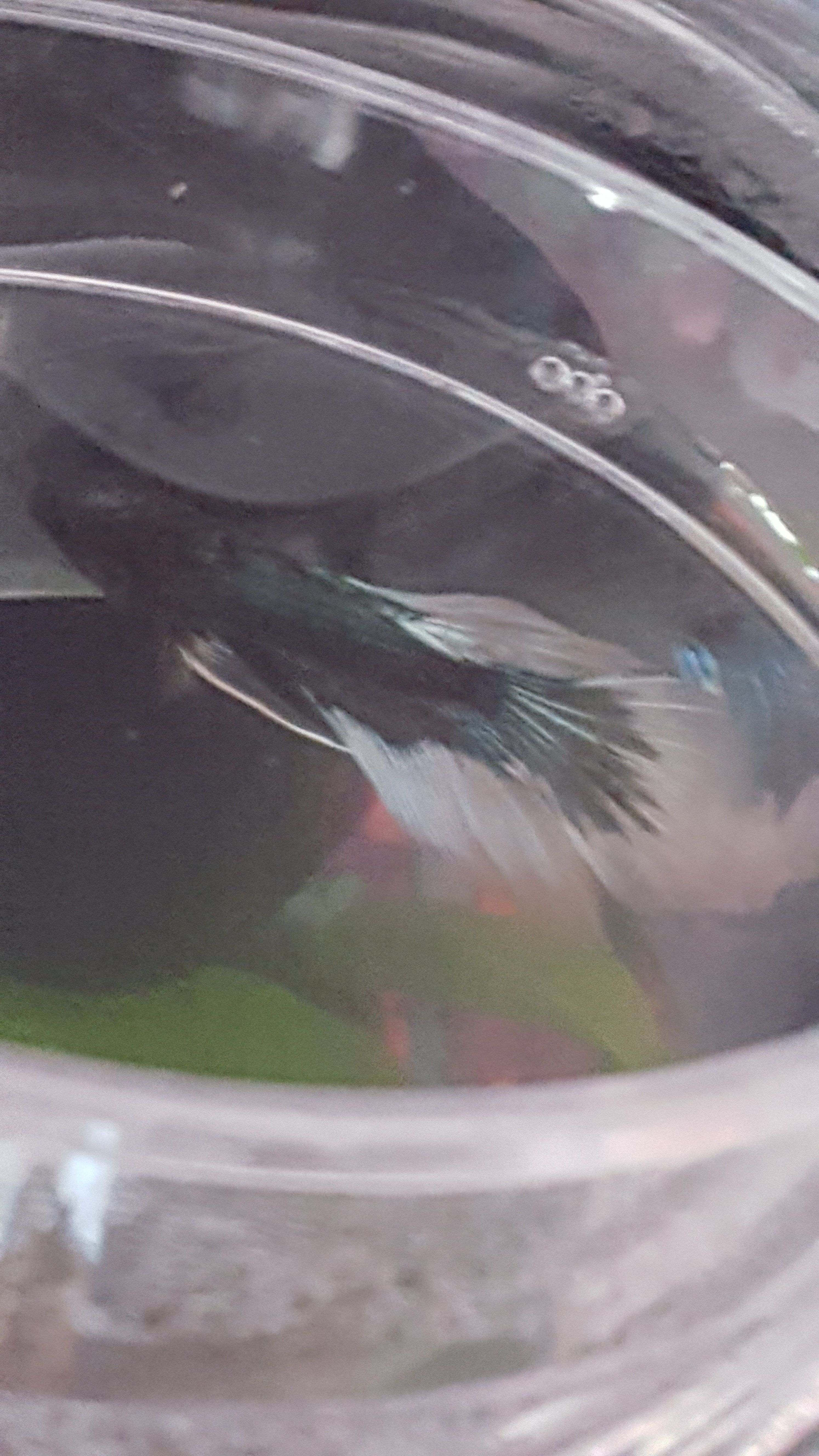 20200414_175257.jpg