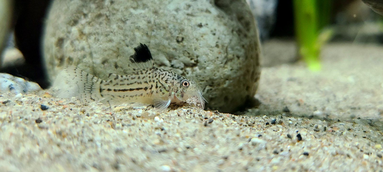 20200802_000732.jpg