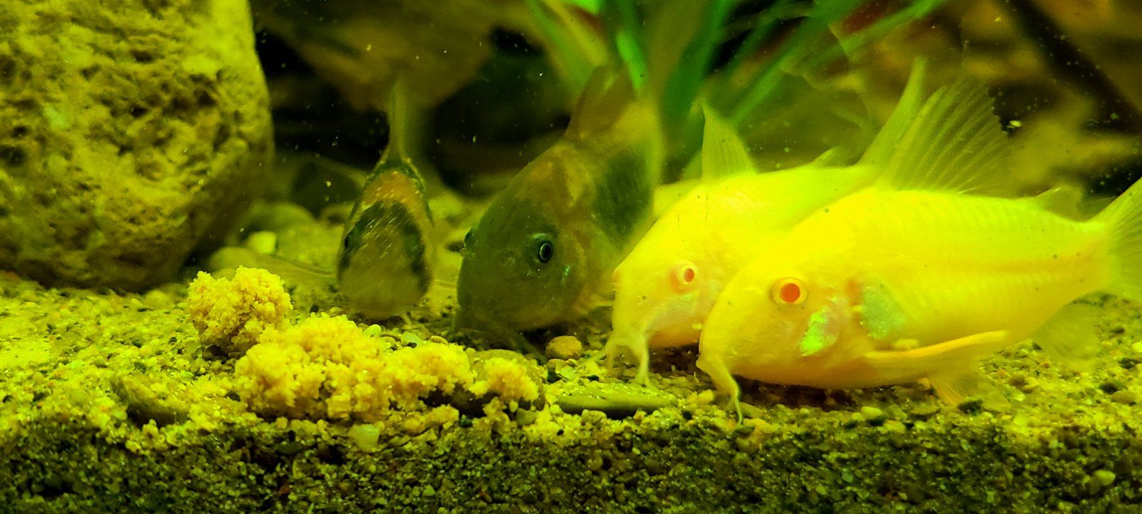 20200901_193918.jpg