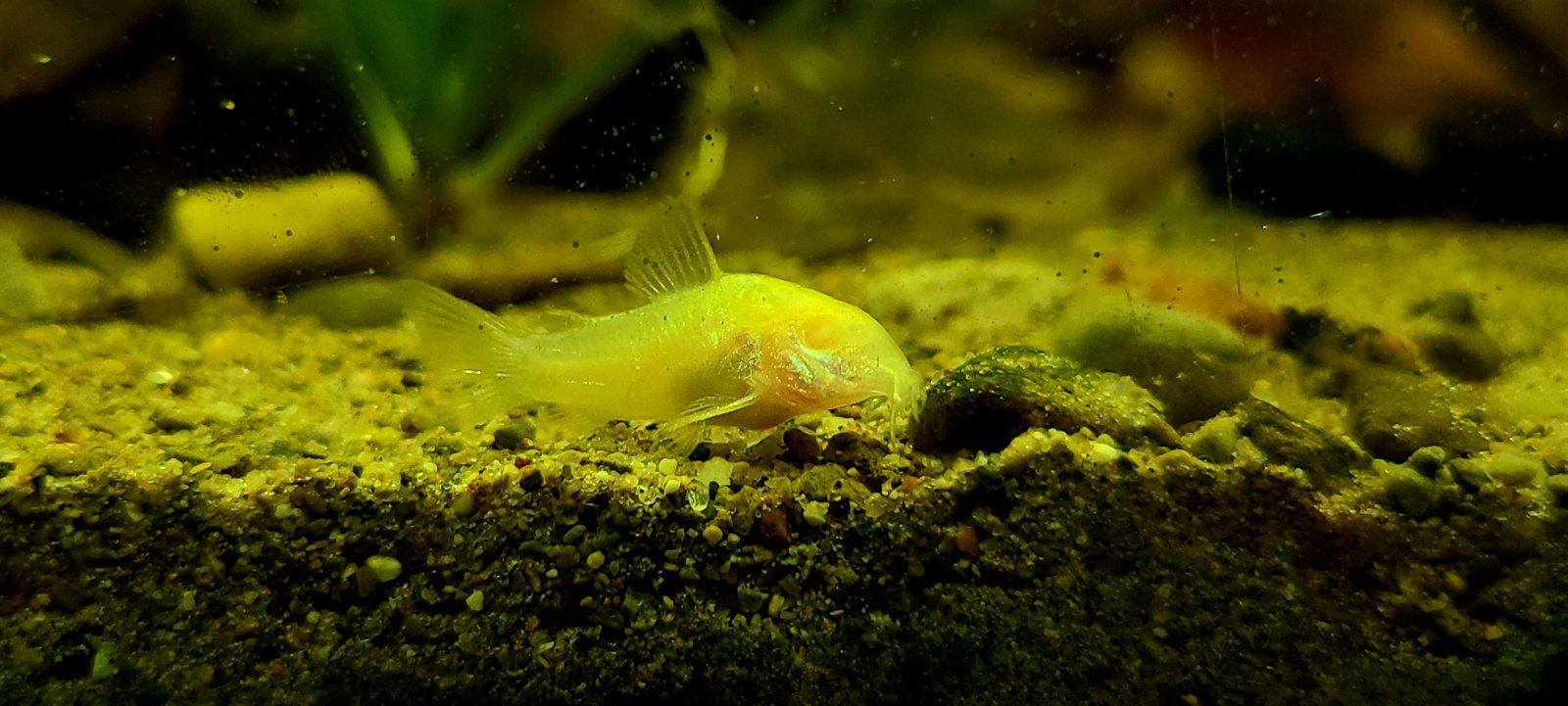 20200901_194917.jpg