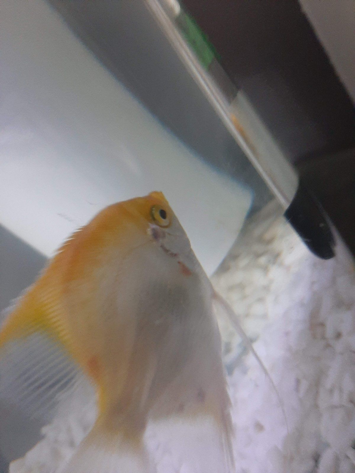 20200909_000955.jpg