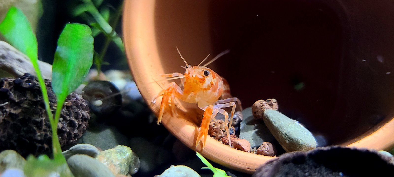 20200918_232002.jpg