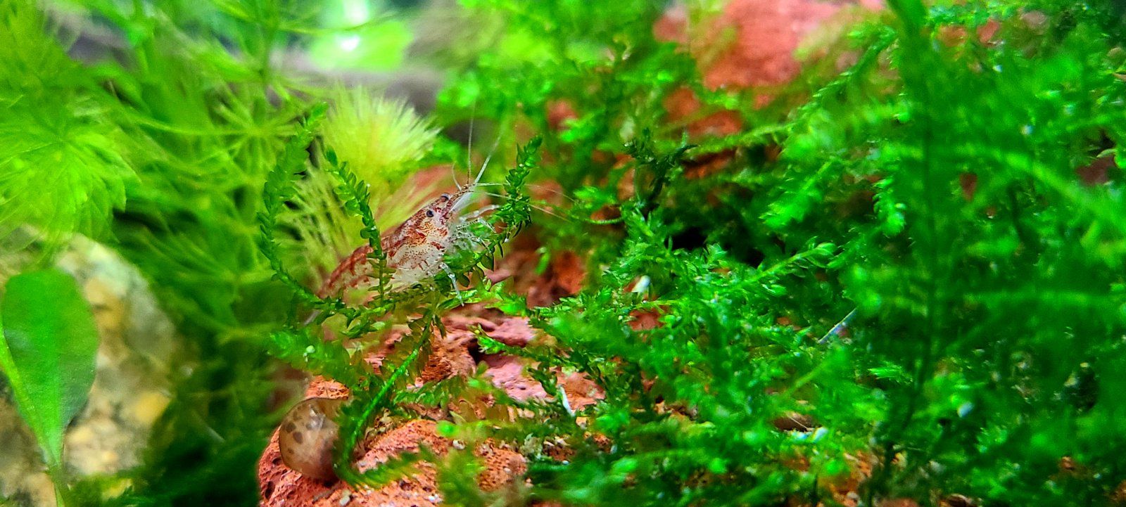 20200919_171544.jpg