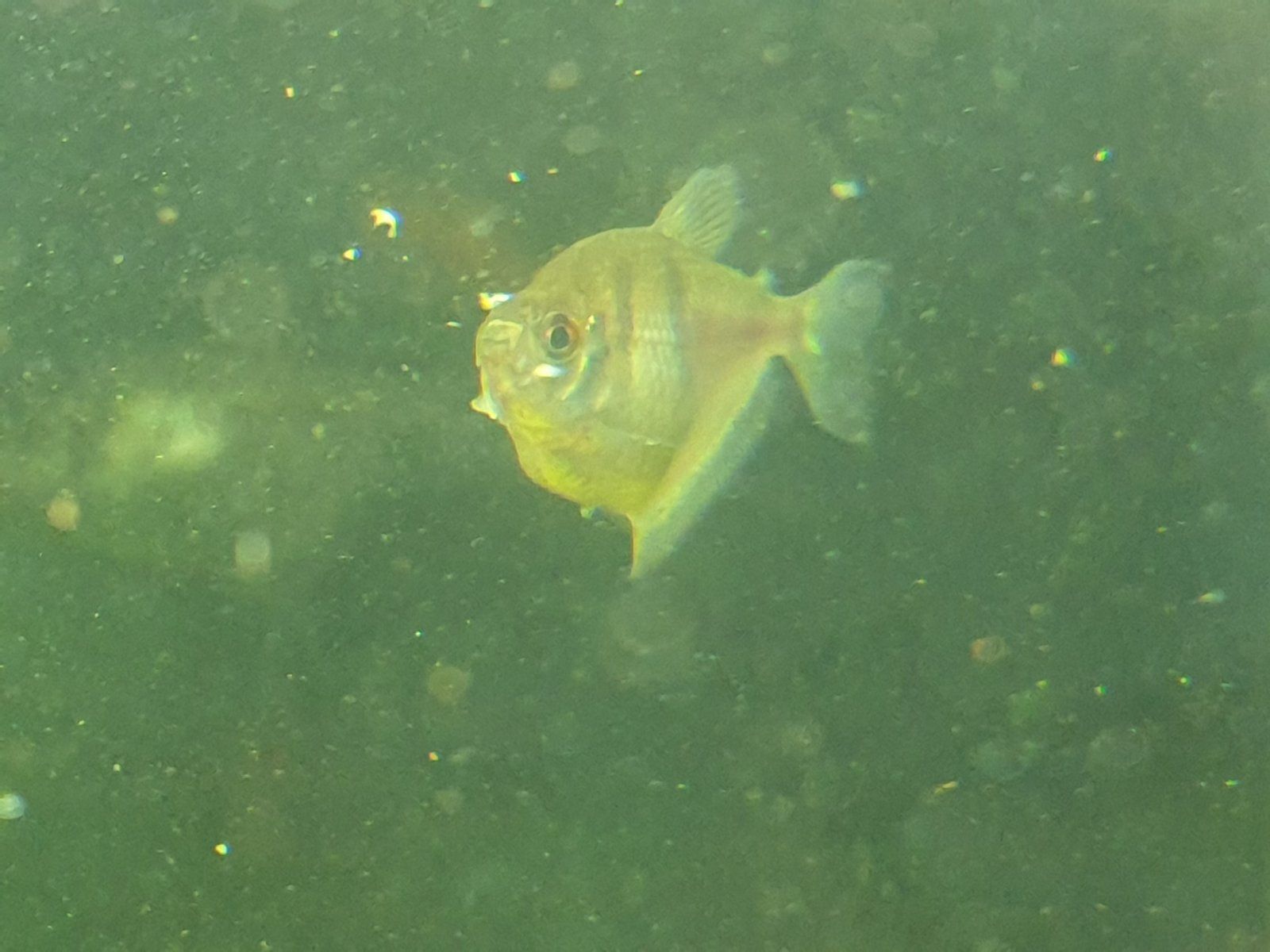 20200919_225709.jpg
