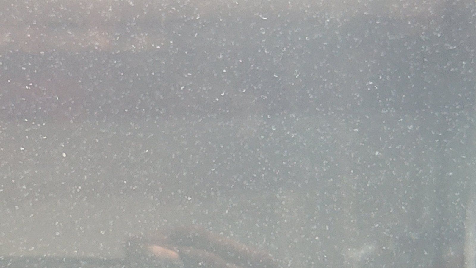 20200921_183332.jpg