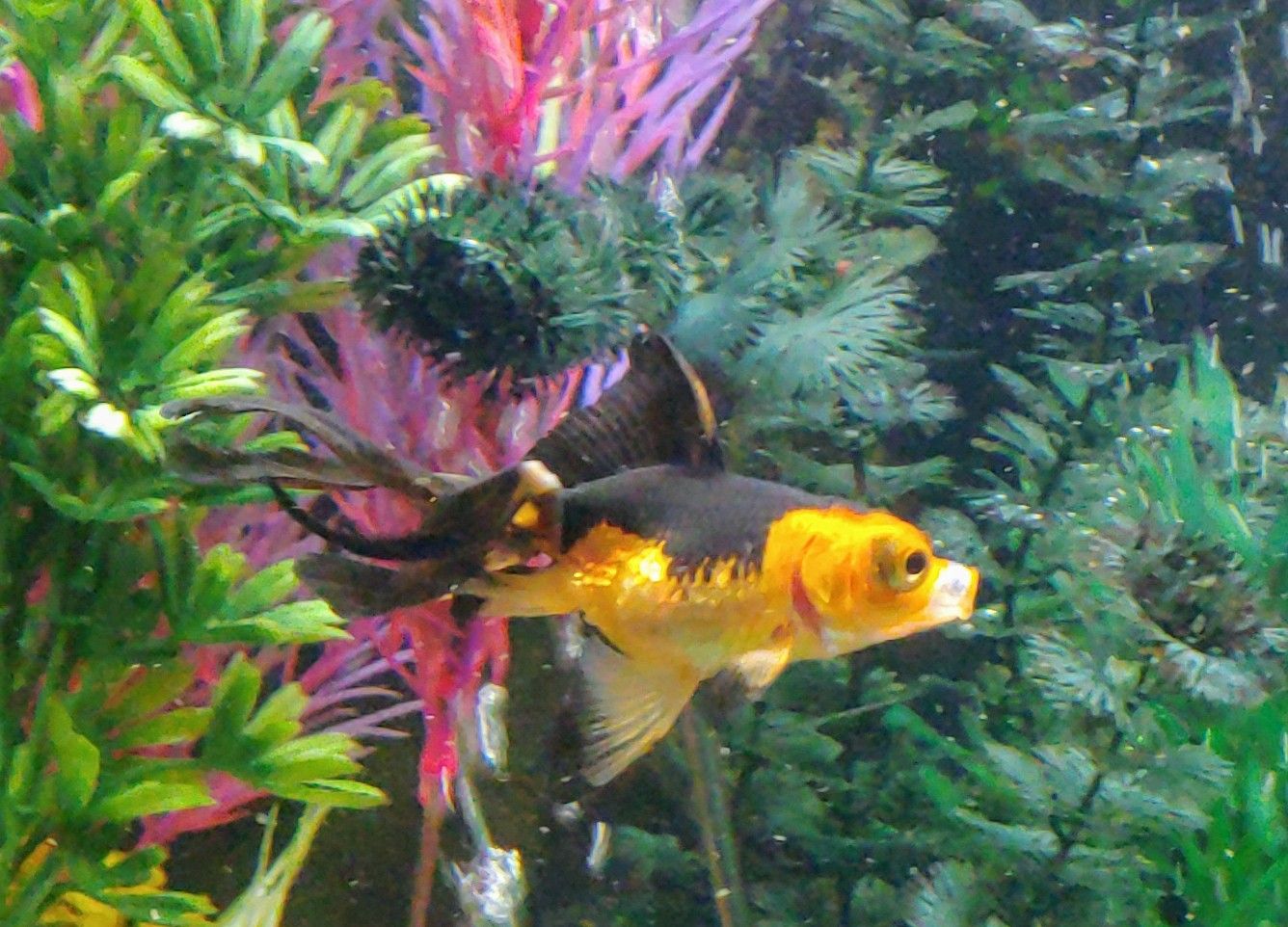 20200923_194631~2.jpg
