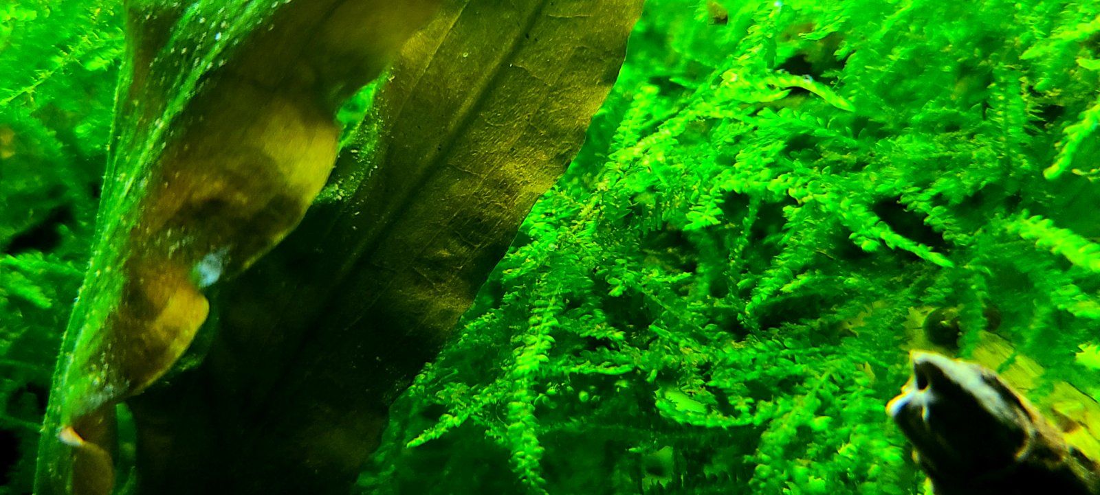 20200924_203625.jpg