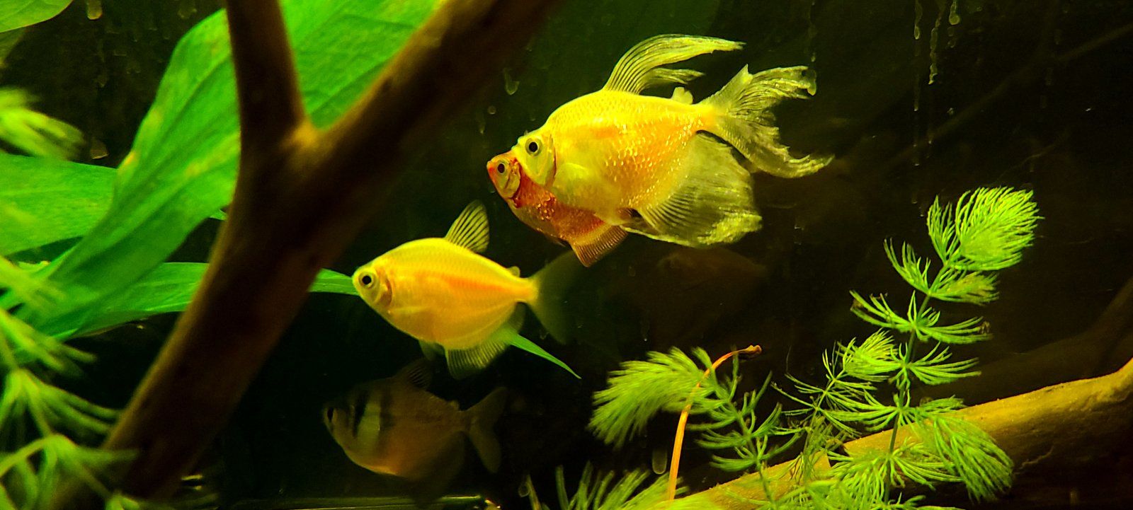 20201004_184609.jpg
