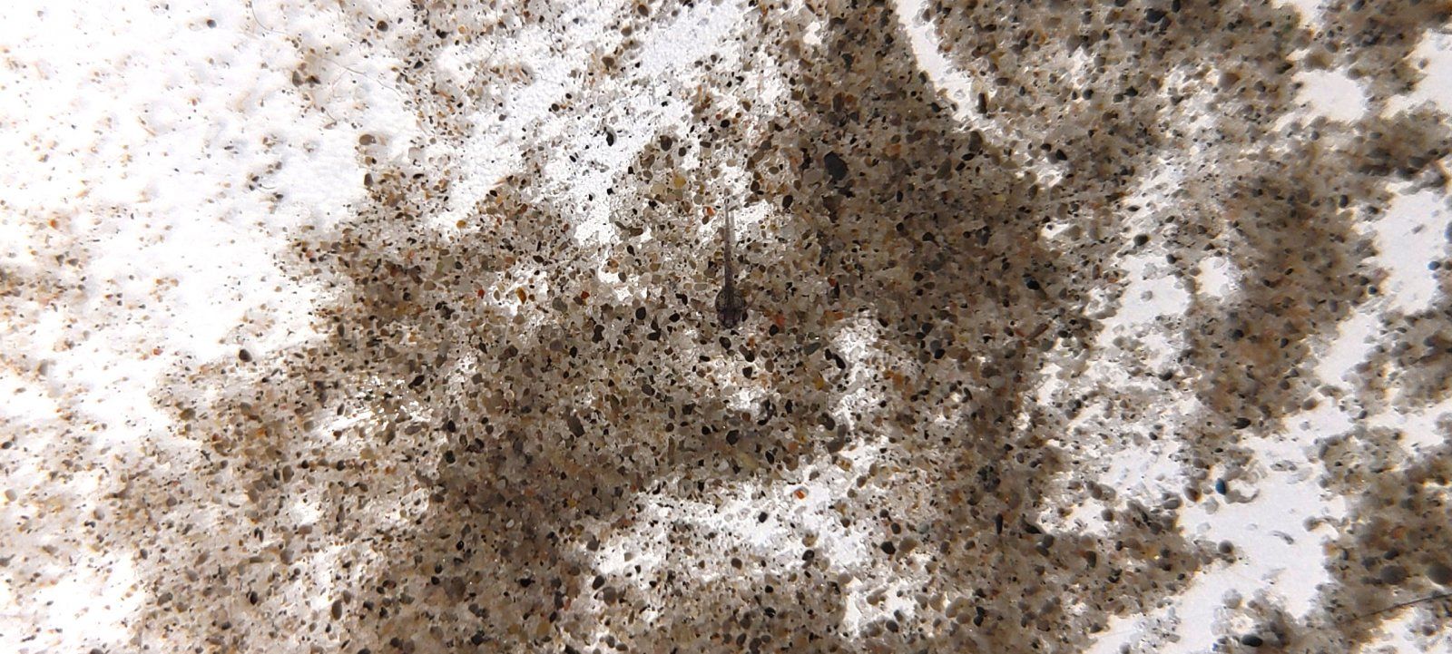 20201010_154553.jpg