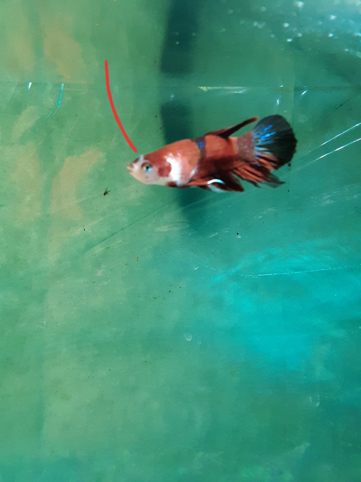 20201011_201501.jpg