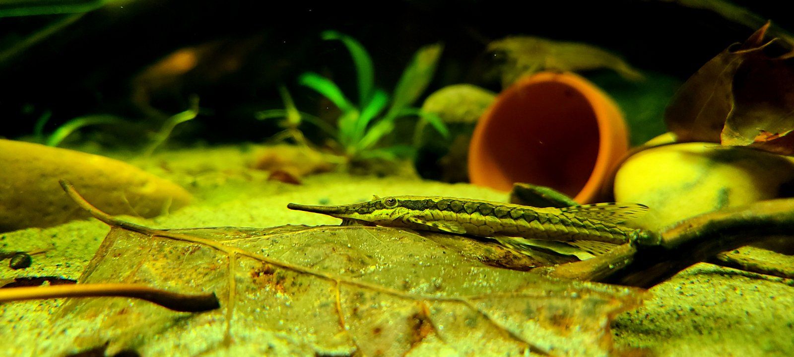 20201013_201047.jpg