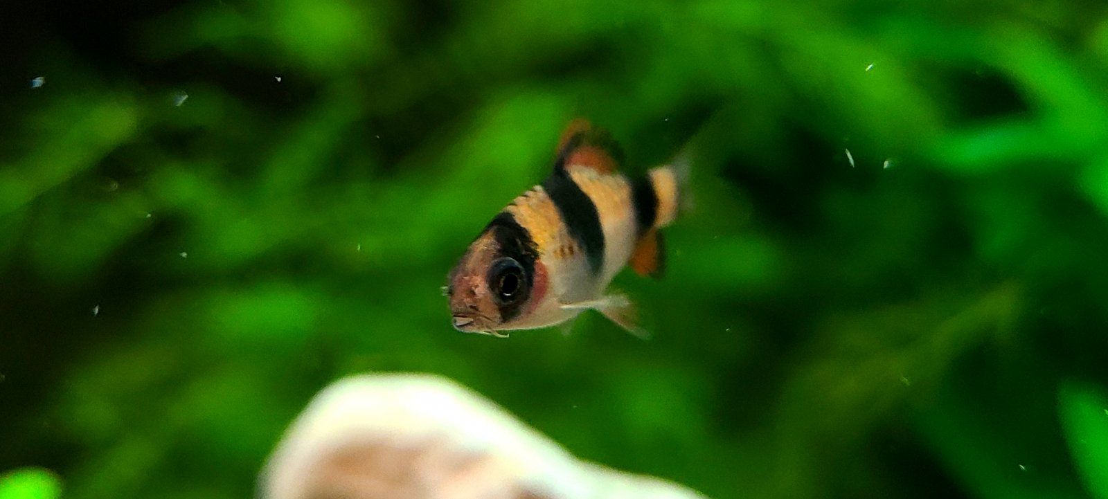 20201015_225025.jpg