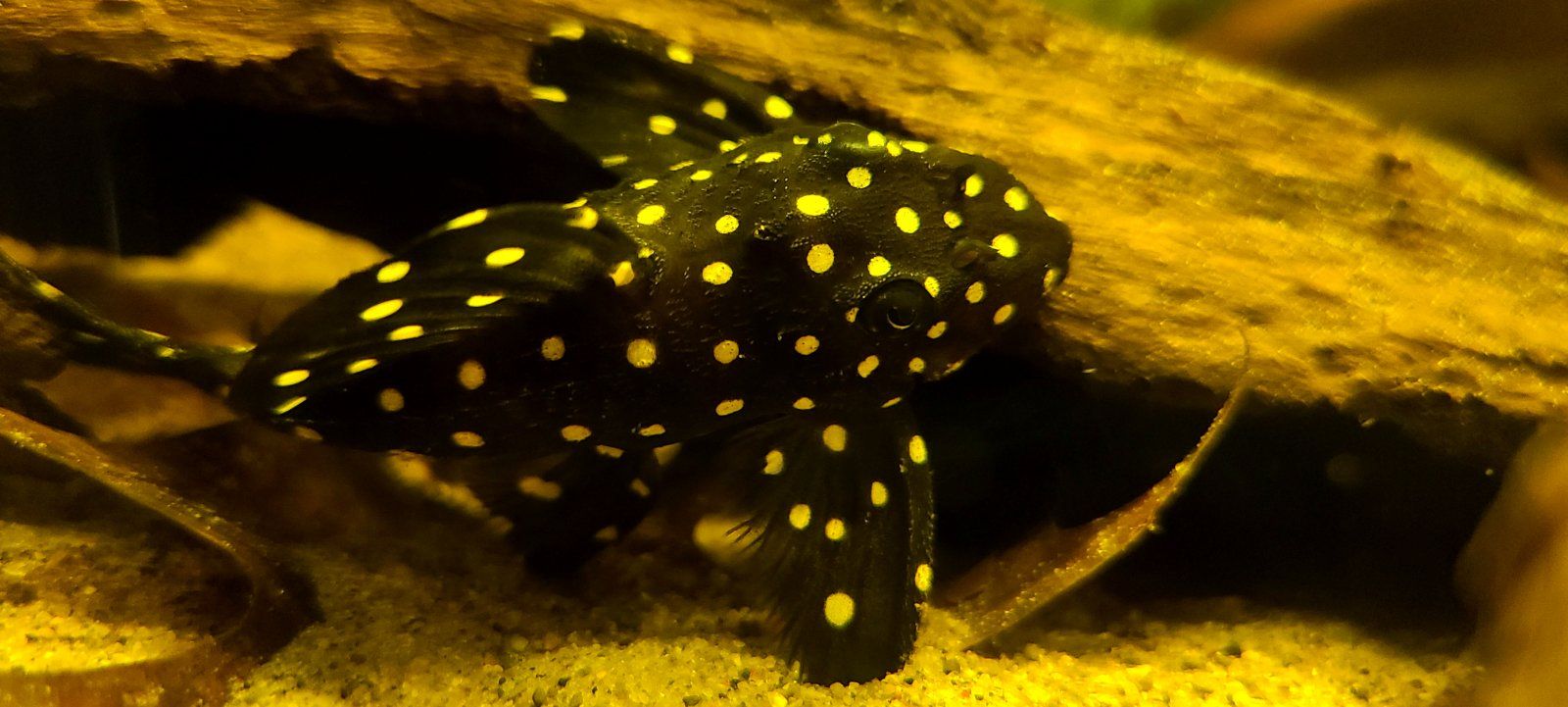 20201018_225225.jpg