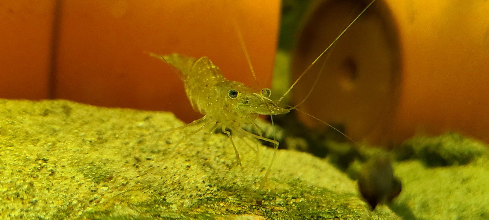 20201024_200316.jpg