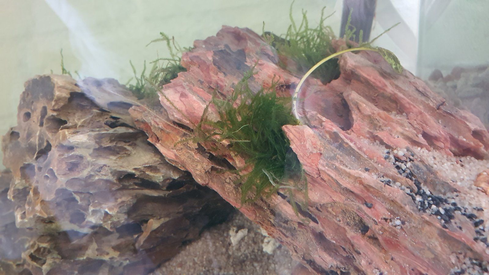 20201027_101026.jpg