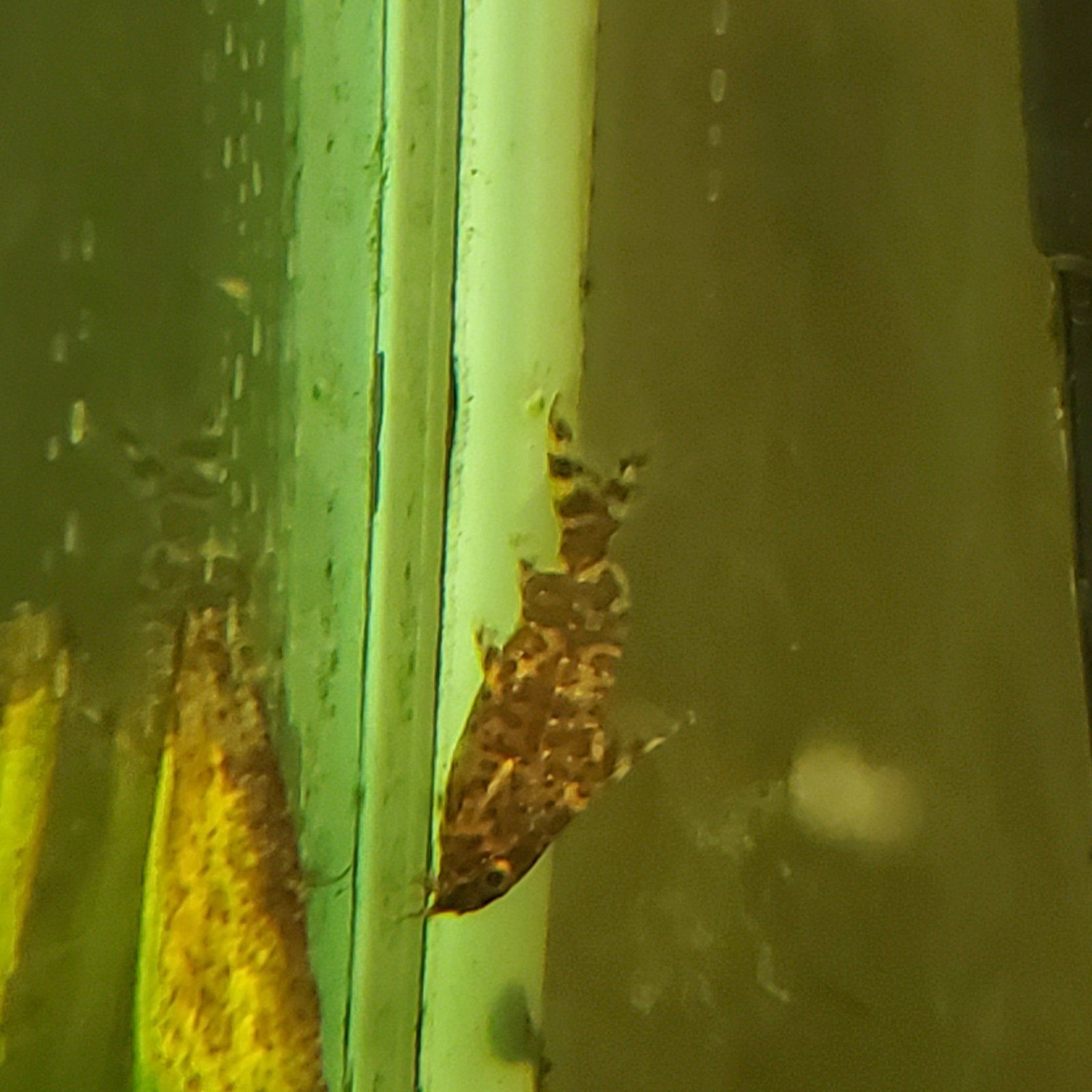 20201027_200322.jpg