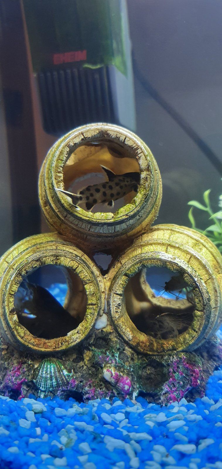 20201102_194302.jpg