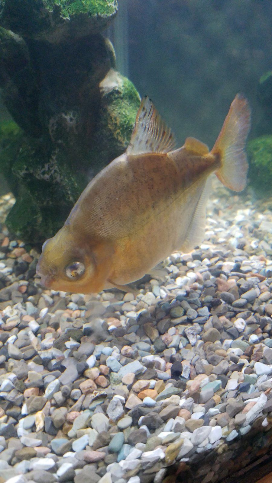 20201105_181612.jpg