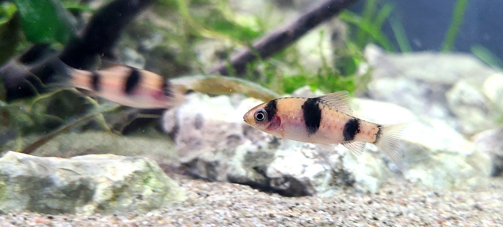 20201108_162900.jpg