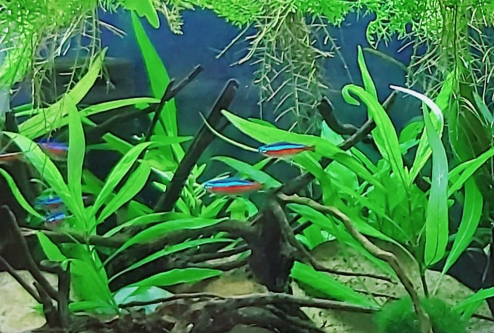 20201108_185414.jpg
