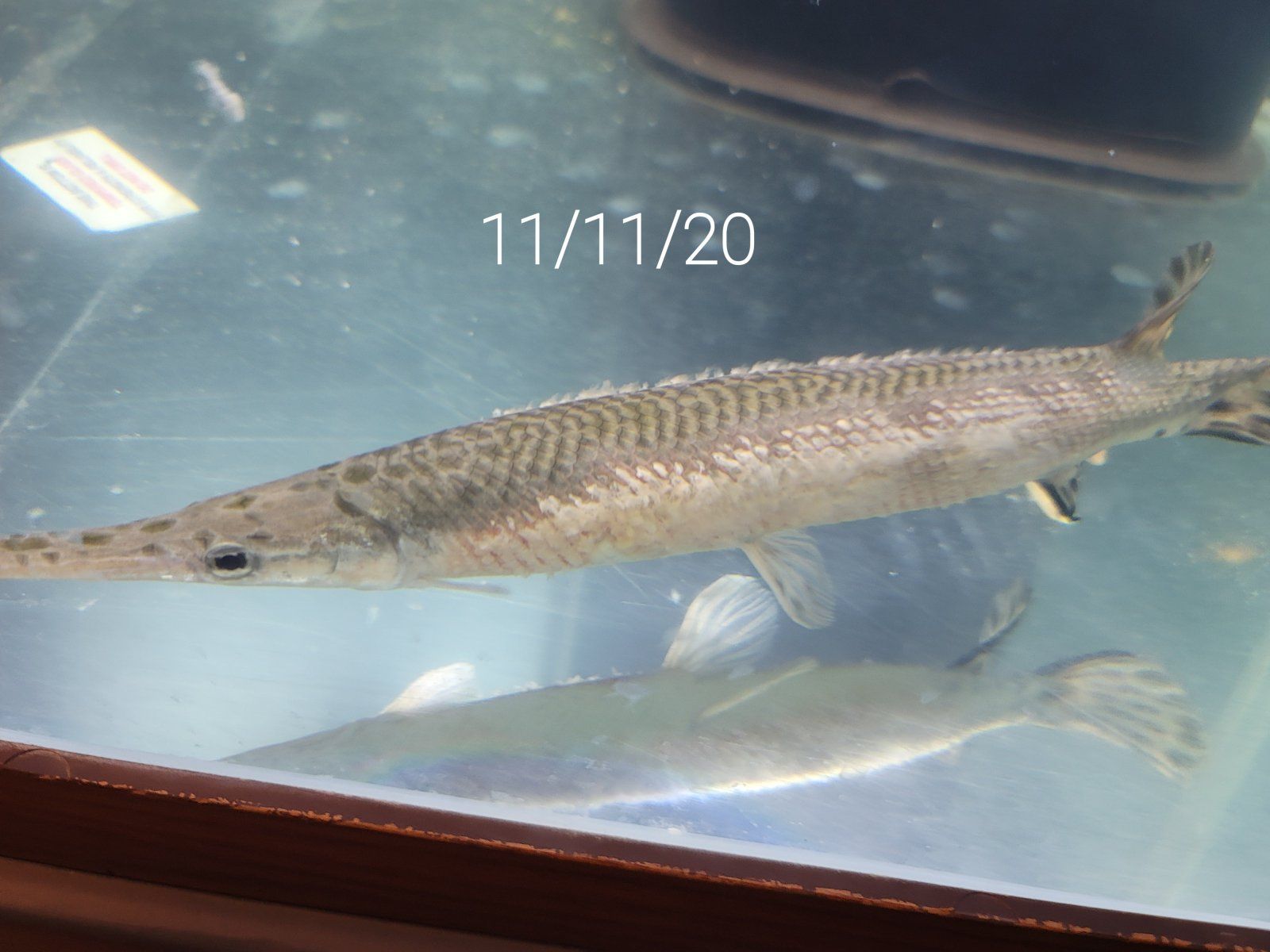 20201111_195154.jpg