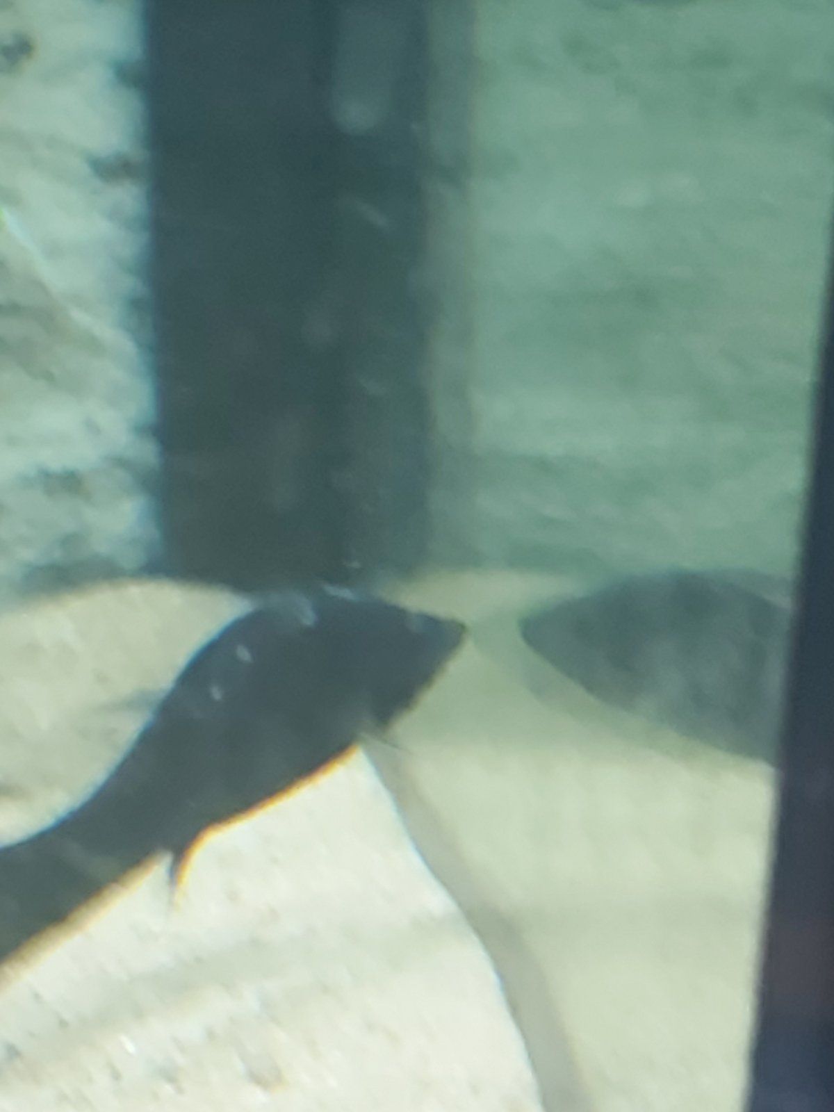 20201114_014156.jpg