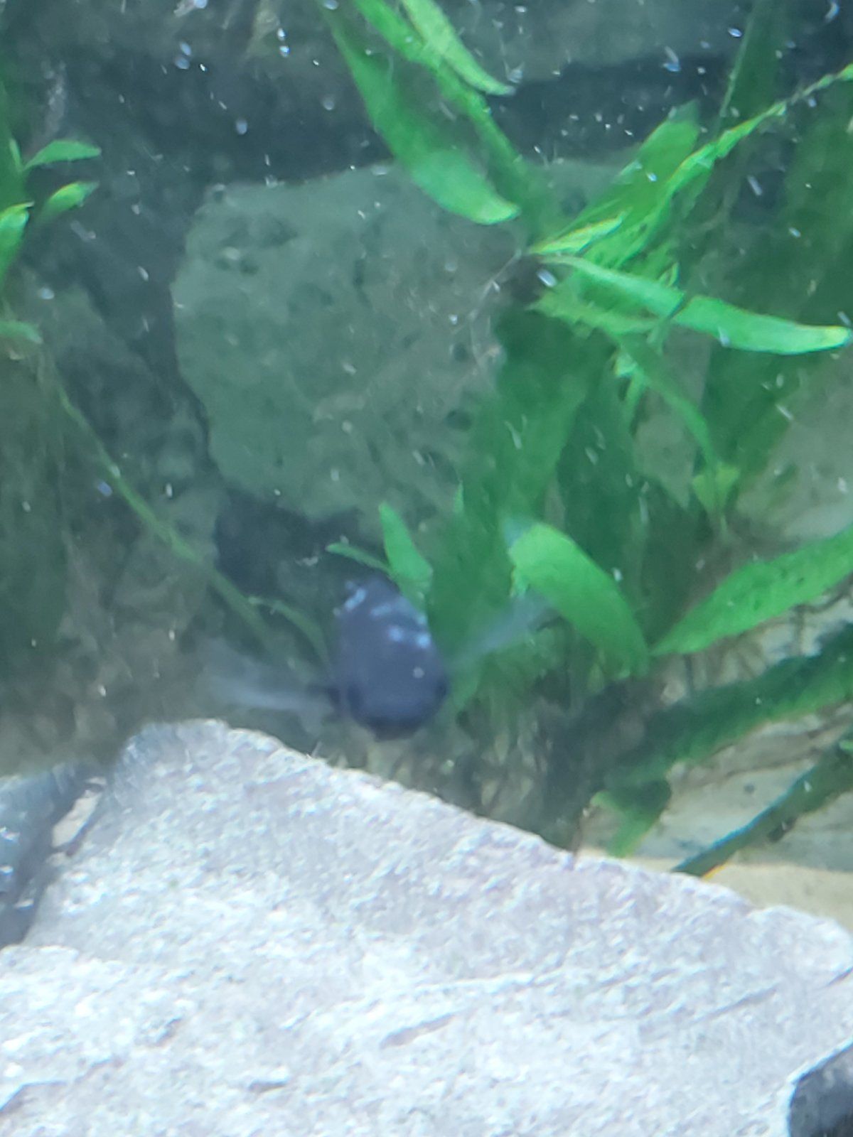 20201114_014221.jpg
