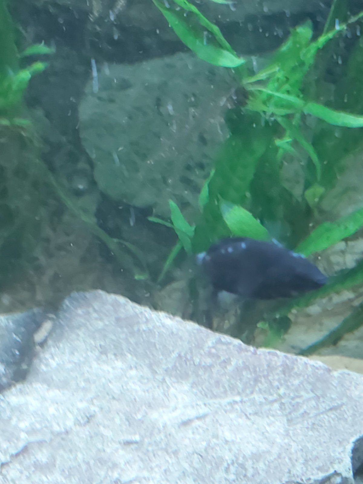 20201114_014223.jpg