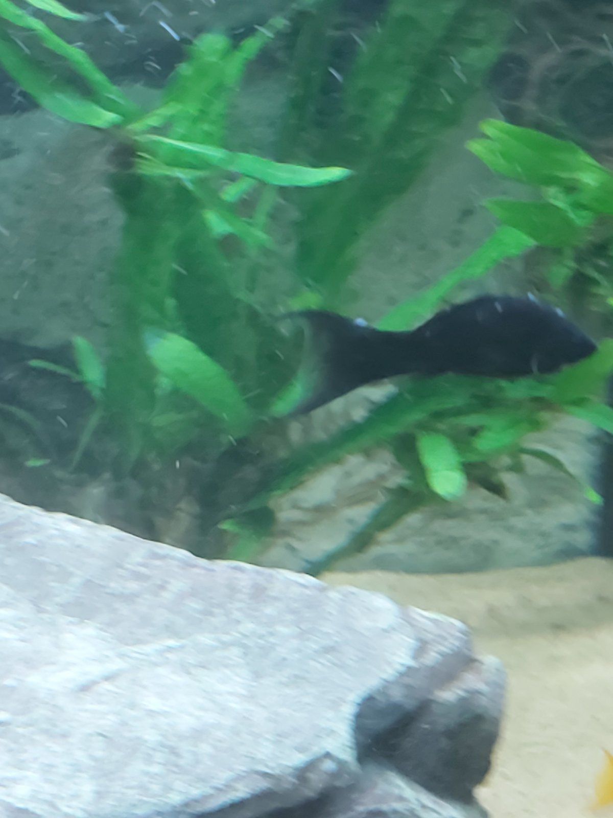20201114_014225.jpg