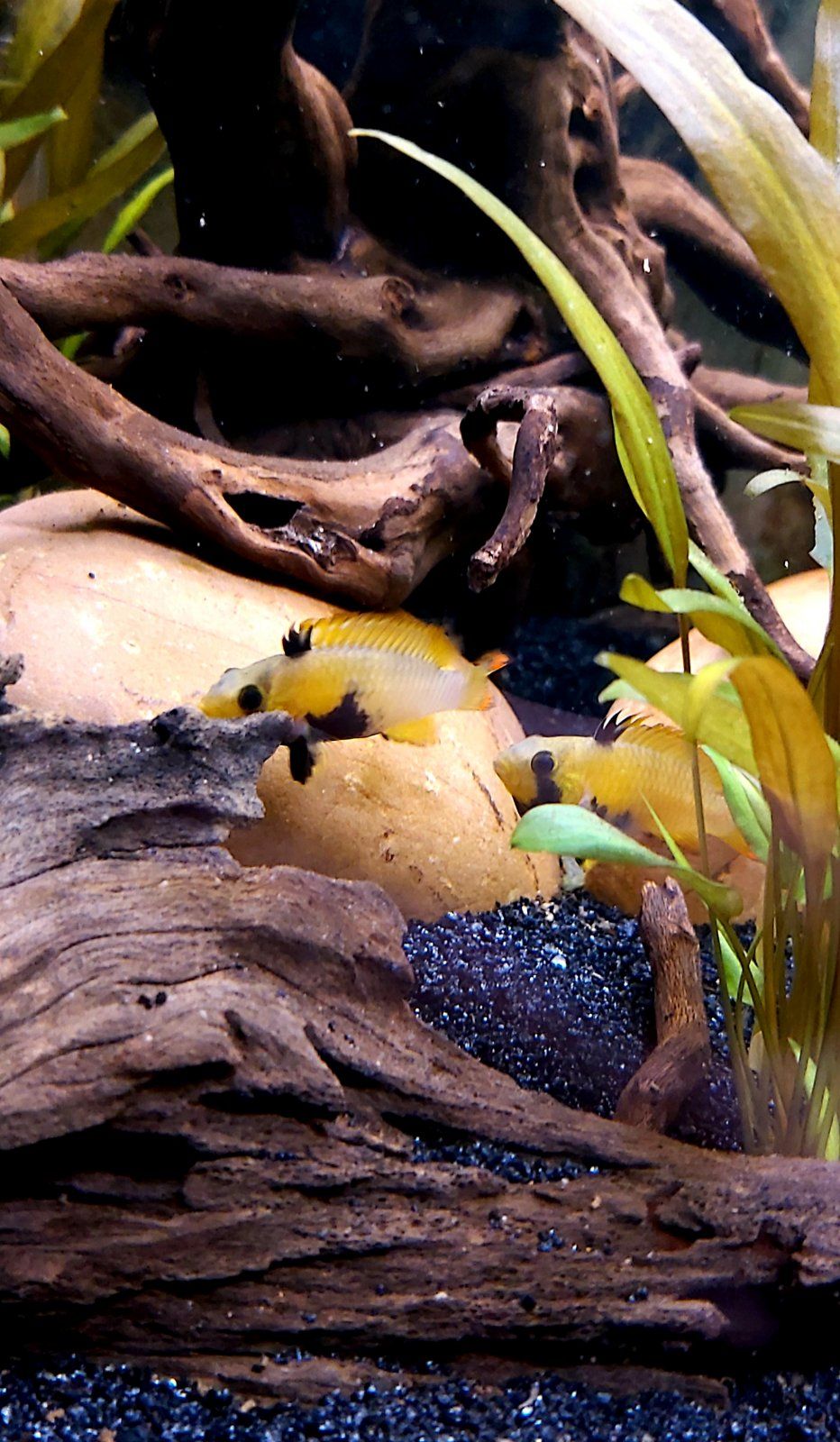 20201120_152215.jpg